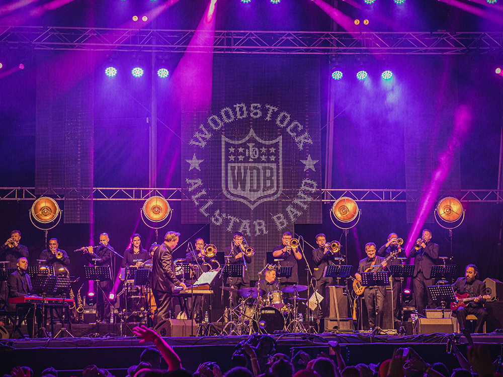 Woodstock Allstar Band – Best of Blues Brothers